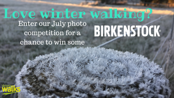 Winter Walking Photo Competition promo July 2018.